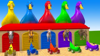 Long Slide Game With Elephant Gorilla Buffalo Hippopotamus Tiger - 3d Animal Game - Funny 3d Animals
