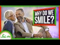 Understanding the Evolution and Role of Smiles