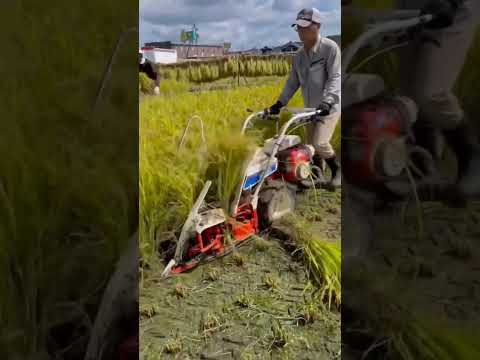এই মেশিনটার দাম 60 থেকে 70#প্রবাসীদের #ভাইরাল #শর্ট