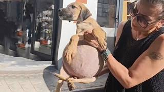 She Cried Out Loud: "Don't Touch Me"...Like That For 30 Days...And Finally Found Warm Love!