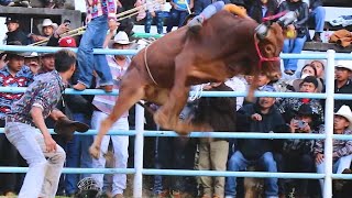 COMO MICHOACANA NO HAY DOS // JARIPEO LLOVIENDO // RANCHO LOS PINOS 🌲