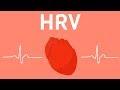 Heart Rate Variability Concepts
