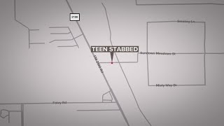 Teen flown to hospital after being 'severely stabbed' at house party in Crosby, HCSO says