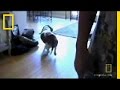Adopting Sadie: A Family's Journey