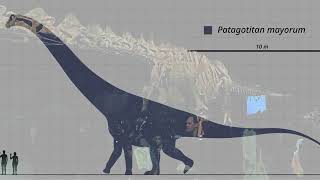 Dinosaurs Summer Course - SIW