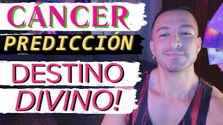 CÁNCER! TE DAS CUENTA PERO TU CAMINO ESTÁ LIBERÁNDOSE NATURALMENTE! JUSTICIA DIVINA A TU FAVOR!
