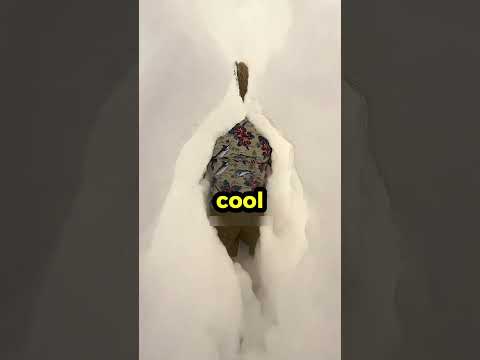 DON'T CLICK THE SOUND 🤯