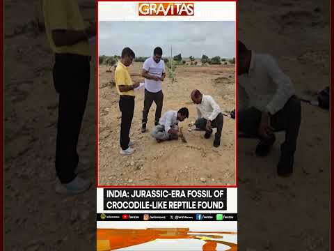 India’s First Phytosaur Fossil Unearthed From Jaisalmer | GRAVITAS Shorts