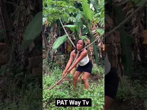 #music #newmusic #afrohouse #love #newsong #dance #amapianotv #musicgenre #comedy