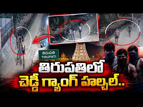 🔴Live:తిరుపతిలో చెడ్డీ గ్యాంగ్ హల్చల్ | Cheddi Gang Hulchul in Tirupati | AP News | #sumantvtelugu