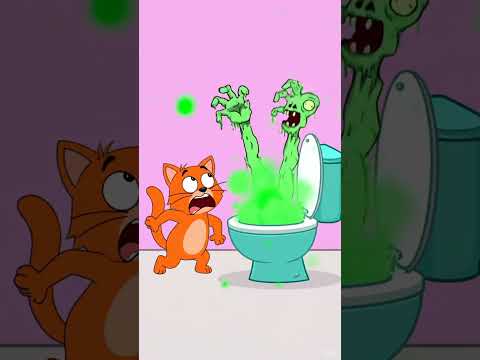 #cat #vocal #unicorn #singer #eurovision #live