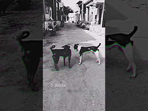 telugushort'' magadheeraa #trending #viral #jagtial #5reels #jagtial