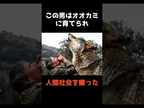 オオカミに育てられた男性の現在と秘密 サムネイル