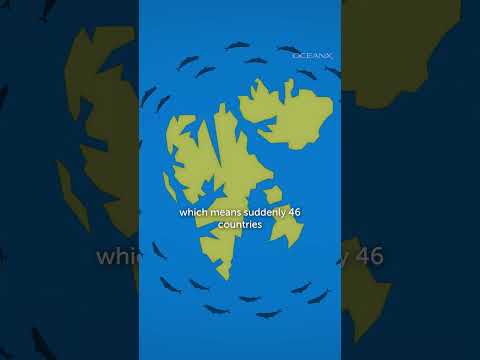The Future of the Arctic Depends on a 100-Year-Old Treaty
