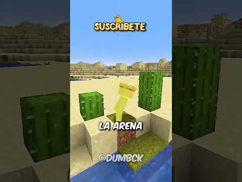 MINECRAFT, ¡pero no puedo tocar COLORES ALEATORIOS! ⛏️ #shorts