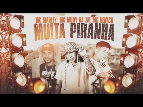 MC MARLEY, MC MURY DA ZN E MC NENECO - MUITA PIRANHA / 212 E PEÇA (REMIX BREGAFUNK)