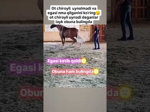 ot chiroyli uynagan turimi dustlar #sevishganlarsuhbati