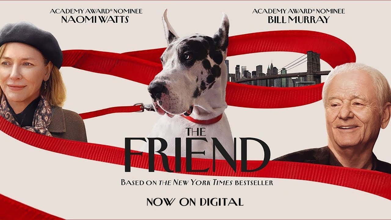 The Friend Fragman önizlemesi