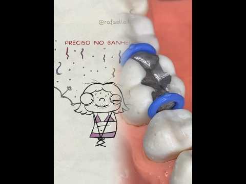 animação que histórias e essa Porchat histórias o banheiro químico no carnaval #pov #historia #fy