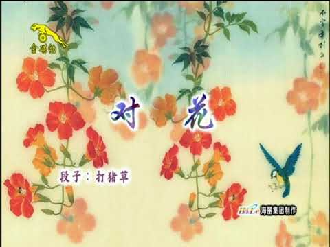 卓依婷 對花 DVD版