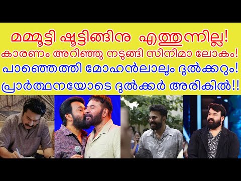 മമ്മൂട്ടി ഷൂട്ടിങ്ങിനു  എത്തുന്നില്ല!കാരണം അറിഞ്ഞു നടുങ്ങി സിനിമാ ലോകം! | Mammootty Hospital