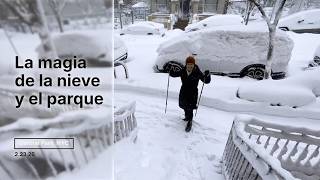 “La magia del parque y la nieve en Central Park” - video de Michael Smith