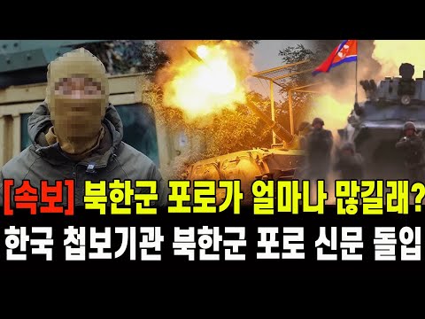 [속보] 우크라 포로 북한군 얼마나 많길래?...한국 첩보기관 북한군 포로 신문 돌입