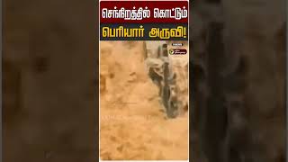 செந்நிறத்தில் கொட்டும் பெரியார் அருவி! | Periyar Falls