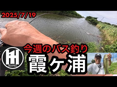 バス釣り今週の霞ヶ浦！2025年7月19日