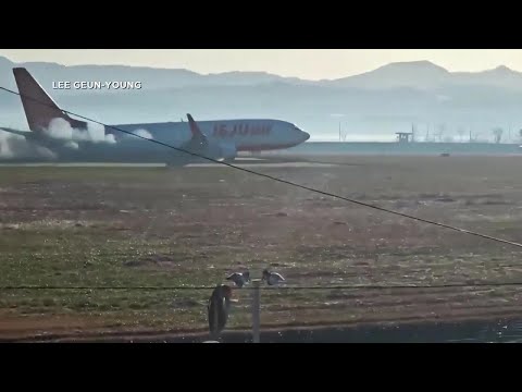 179 killed after Jeju Air plane crashes and bursts into flames while landing in South Kore
