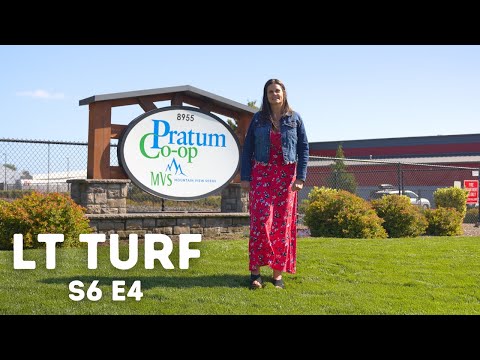 Mountain View Seeds - LT Turf Season 6 Episode 4