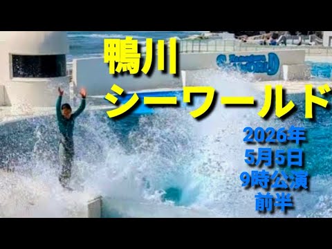 🫍鴨川シーワールド❤️2026年5月5日9時公演前半🎀5/6から5/31は、千葉県野田市・四街道市・富里町・印西市・東金市の方は大人￥3,300→￥2,700🌸小人￥2,000→￥1,600🌸