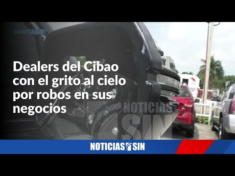 Santiago: dealers denuncian ola de robo