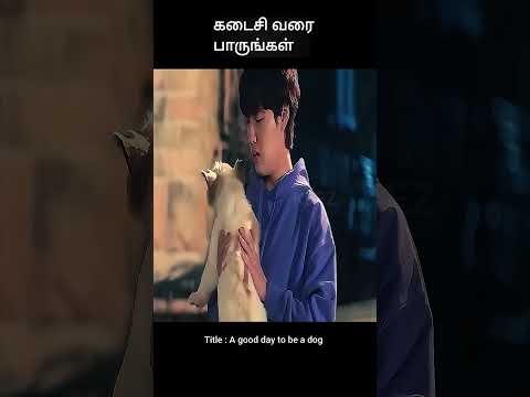 கடைசி வரை பாருங்கள் | movie explained in 1 minute | movie explained in tamil | #shorts