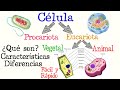 Células y Estructuras Celulares