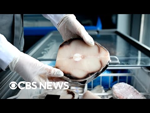 YouTube video thumbnail: Some Shark Meat Sold in U.S. Came From Critically Endangered Species, Study Finds