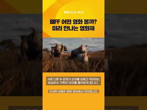 BIFF 어떤 영화 볼까? 미리 만나는 영화제 #문화공감 #부산국제영화제 #영화