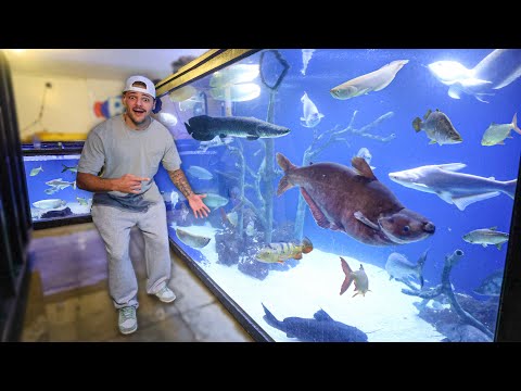 Visiting the LARGEST FISH Collection EVER!! I traveled over 1,000 miles to visit a fish rescue in a suburban neighborhood.. except this wasn’t