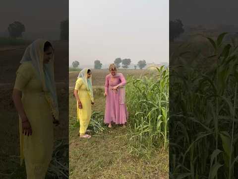 Angrejan se Kheto me Kaam Karwaya 😍 Rinku Sihag #short #vlog #viral