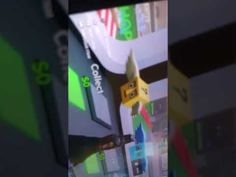 ラッキーロット開封!