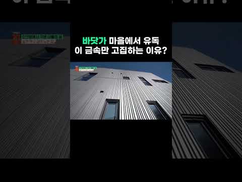 바닷가 마을에서 유독 이 금속만 고집하는 이유 #골라듄다큐 #shorts