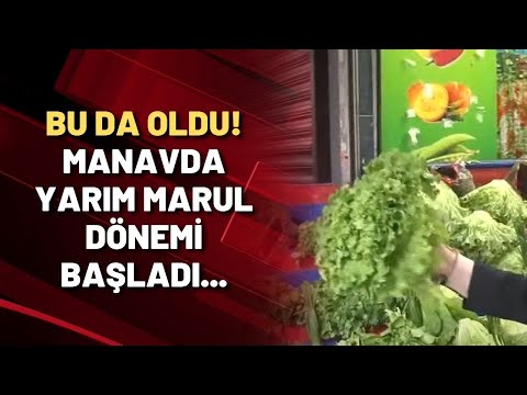 BU DA OLDU! Manavda yarım marul dönemi başladı...