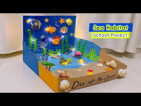 Sea Habitat Model | Ocean Model School Project | Ocean Diorama | Sea Model | DIY School Project