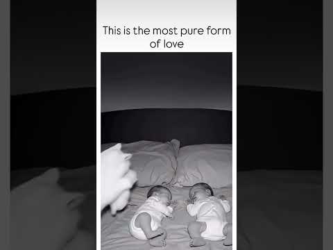pure heart ❤️#animallove #love #utubeshorts #utubeshorts #youtubevideos #videoshorts#shortontrending