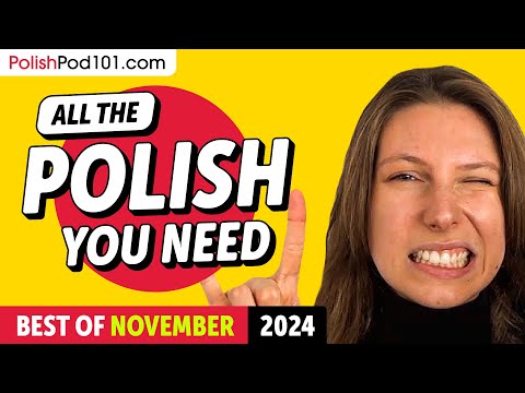 Your Monthly Dose of Polish - Best of November 2024