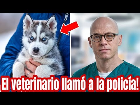 Adoptaron un nuevo perro! Pero cuando el veterinario lo vió llamó a la policía!