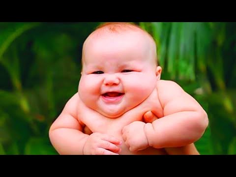 Cute and Chubby Baby Videos that will melt Every Heart - Funniest Home Videos