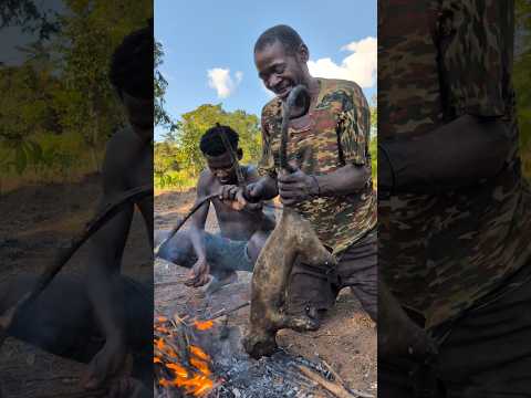 Bushmen Cook's Lunch 😋😊‼️ very delicious food, Nutritious #africa #animals