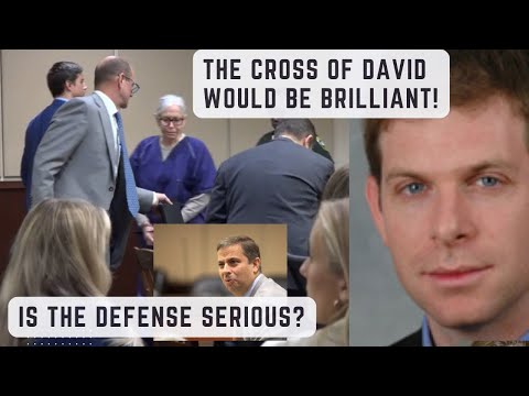 Donna Adelson Case Analysis - Is Calling Charlie's Former Lawyer as a Witness a BAD MOVE?