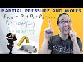 Partial Pressures and Dalton's Law